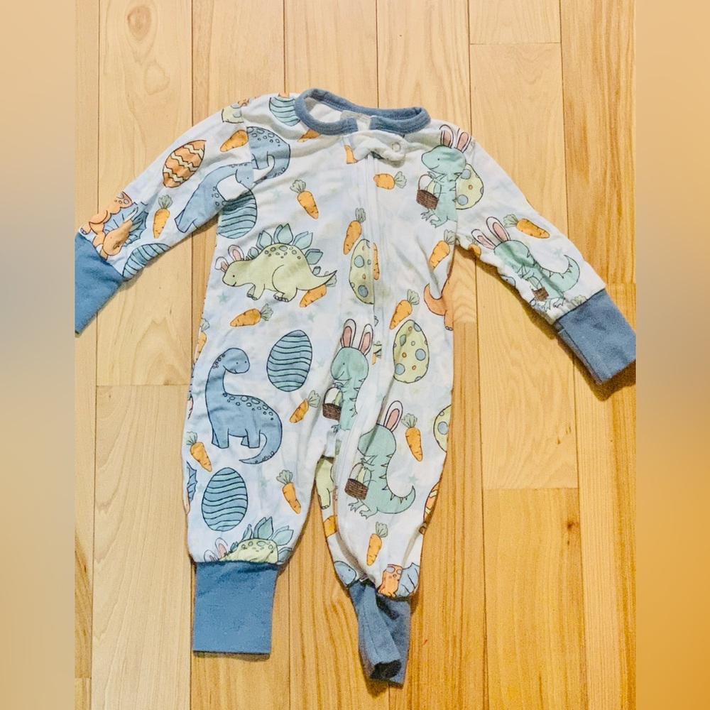 Spring Dino Bamboo Zippy